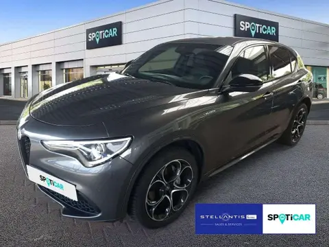 Used ALFA ROMEO STELVIO Petrol 2022 Ad 