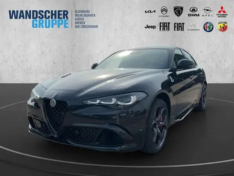 Used ALFA ROMEO GIULIA Petrol 2024 Ad 