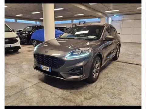 Annonce FORD KUGA Diesel 2020 d'occasion 