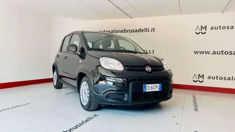 Used FIAT PANDA Hybrid 2024 Ad 