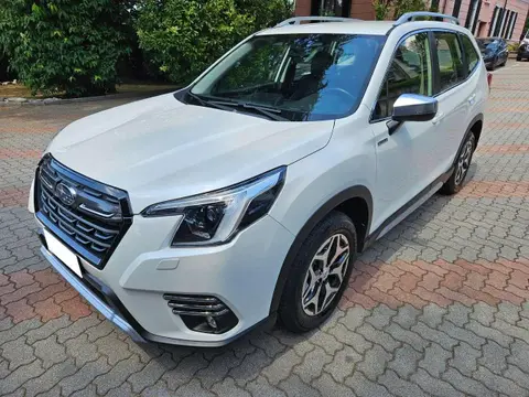 Annonce SUBARU FORESTER Hybride 2024 d'occasion 