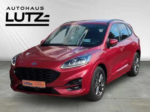 Annonce FORD KUGA Essence 2020 d'occasion 