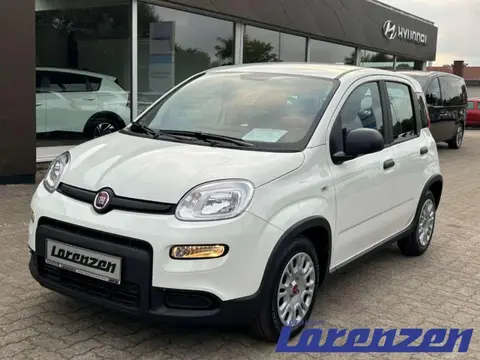 Used FIAT PANDA Petrol 2024 Ad 