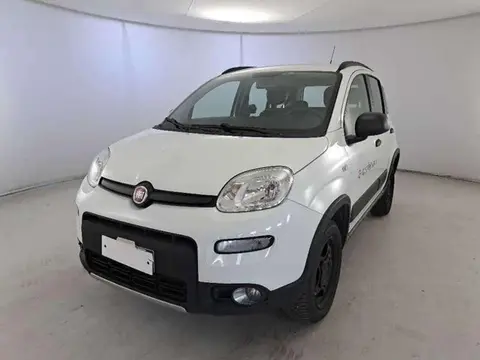 Annonce FIAT PANDA Diesel 2018 d'occasion 