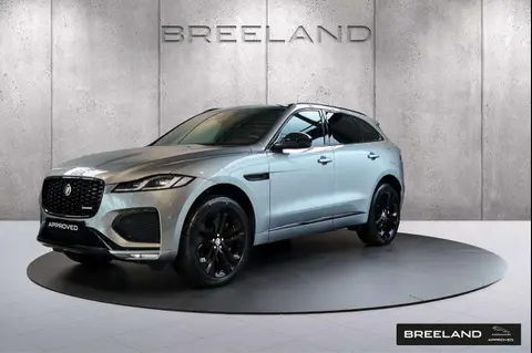 Used JAGUAR F-PACE Hybrid 2023 Ad 