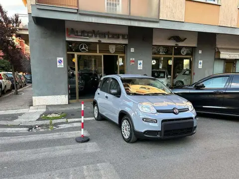 Annonce FIAT PANDA Hybride 2024 d'occasion 