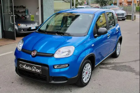 Used FIAT PANDA Hybrid 2024 Ad 