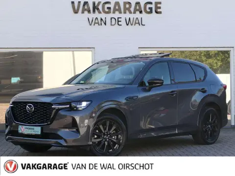 Annonce MAZDA CX-60 Hybride 2022 d'occasion 