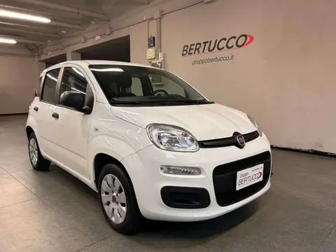 Annonce FIAT PANDA Essence 2019 d'occasion 