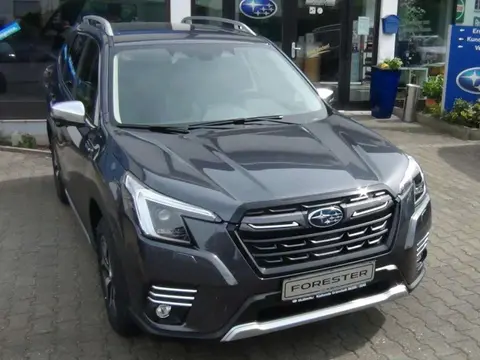 Annonce SUBARU FORESTER Essence 2024 d'occasion 