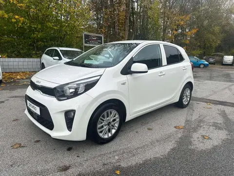 Used KIA PICANTO Petrol 2023 Ad 