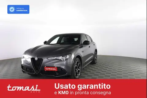 Annonce ALFA ROMEO STELVIO Diesel 2024 d'occasion 