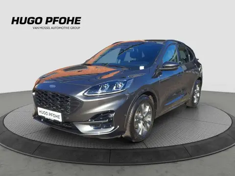 Used FORD KUGA Diesel 2023 Ad 