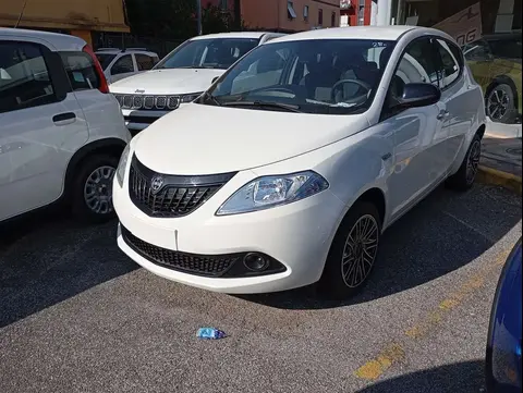 Used LANCIA YPSILON Petrol 2024 Ad 