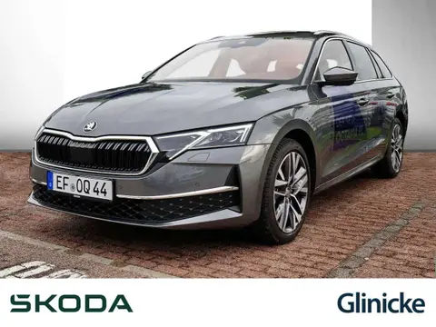 Annonce SKODA OCTAVIA Diesel 2024 d'occasion 