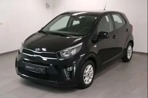 Used KIA PICANTO Petrol 2019 Ad 