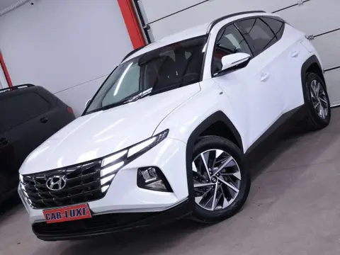 Used HYUNDAI TUCSON Petrol 2022 Ad Belgium