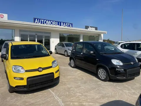 Annonce FIAT PANDA Essence 2024 d'occasion 