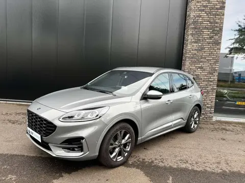 Annonce FORD KUGA Essence 2020 d'occasion 