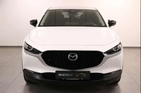 Annonce MAZDA CX-30 Essence 2023 d'occasion 