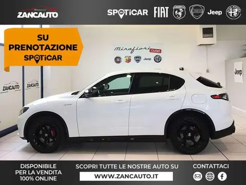 Used ALFA ROMEO STELVIO Diesel 2024 Ad 