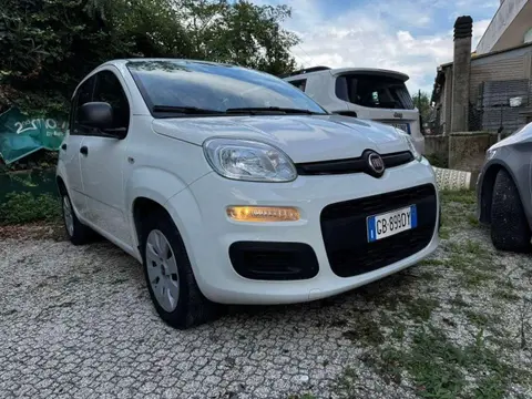 Used FIAT PANDA Petrol 2020 Ad 