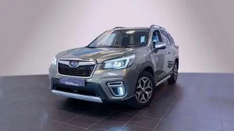 Used SUBARU FORESTER Hybrid 2020 Ad 