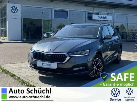 Used SKODA OCTAVIA Petrol 2022 Ad 