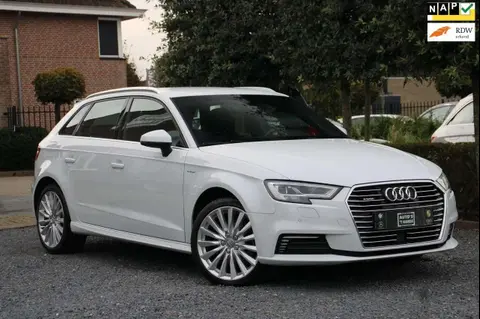 Used AUDI A3 Hybrid 2016 Ad 