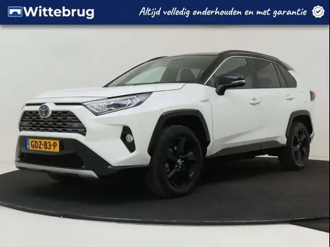 Used TOYOTA RAV4 Hybrid 2020 Ad 