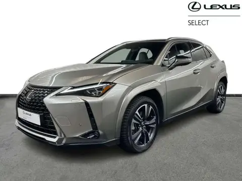 Used LEXUS UX Hybrid 2023 Ad 