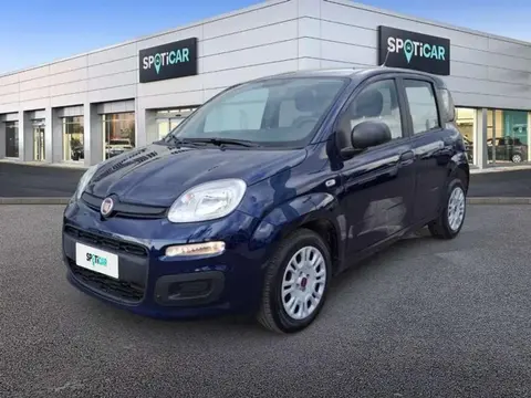 Used FIAT PANDA Petrol 2021 Ad 