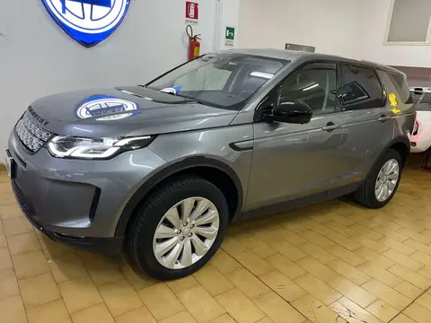 Used LAND ROVER DISCOVERY Hybrid 2019 Ad 