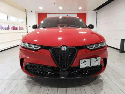 Annonce ALFA ROMEO TONALE Diesel 2024 d'occasion 