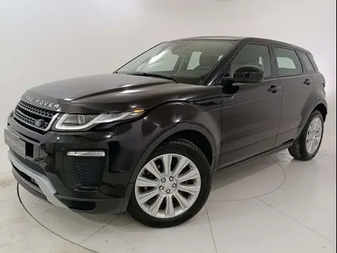 Used LAND ROVER RANGE ROVER EVOQUE Diesel 2018 Ad 