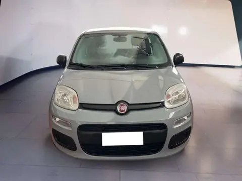 Annonce FIAT PANDA Hybride 2021 d'occasion 