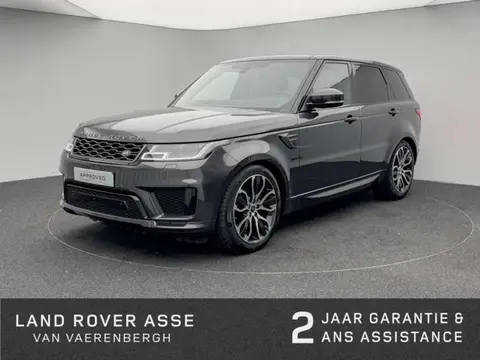 Used LAND ROVER RANGE ROVER SPORT Diesel 2019 Ad 