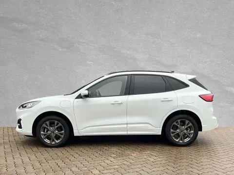 Annonce FORD KUGA Hybride 2022 d'occasion 