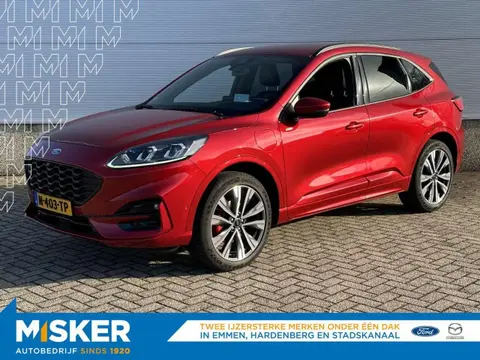 Used FORD KUGA Hybrid 2022 Ad 