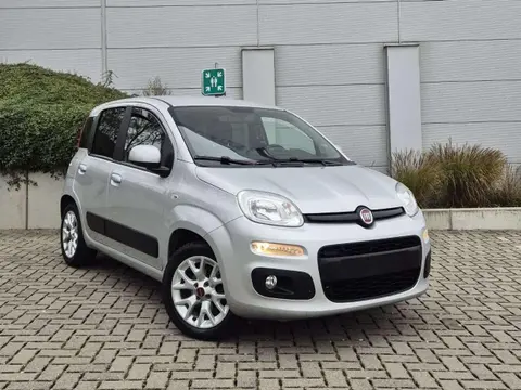 Used FIAT PANDA Petrol 2017 Ad Belgium