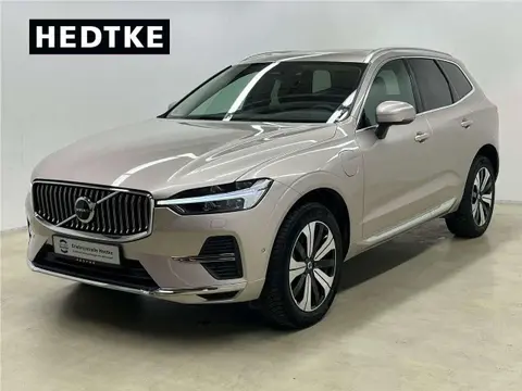 Used VOLVO XC60 Hybrid 2023 Ad 