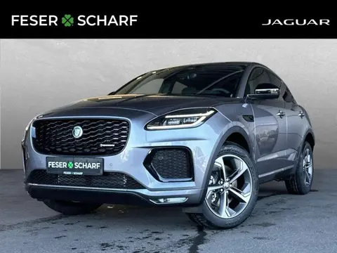 Used JAGUAR E-PACE Hybrid 2024 Ad 