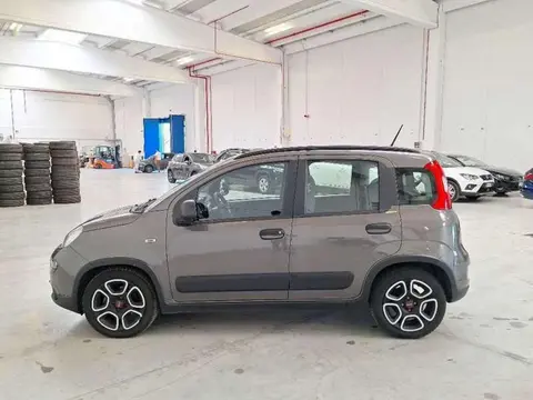 Annonce FIAT PANDA Hybride 2021 d'occasion 