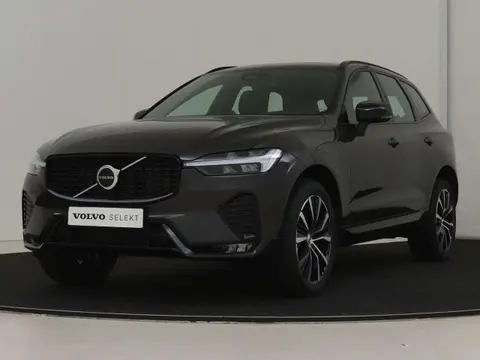 Used VOLVO XC60 Hybrid 2023 Ad 