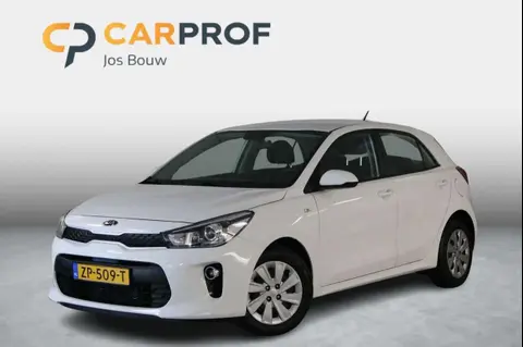 Used KIA RIO Petrol 2019 Ad 