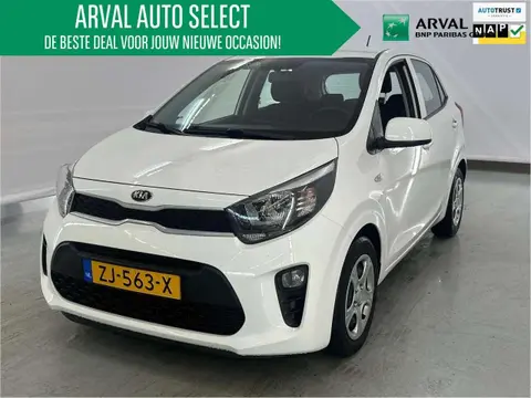 Used KIA PICANTO Petrol 2019 Ad 