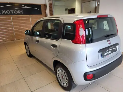 Annonce FIAT PANDA Hybride 2021 d'occasion 