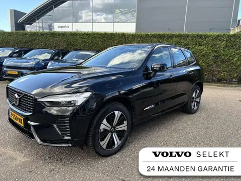 Used VOLVO XC60 Hybrid 2024 Ad 