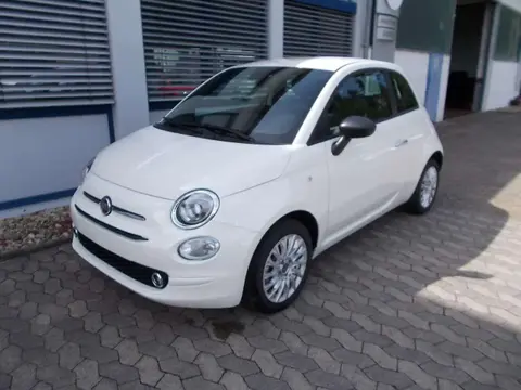 Used FIAT 500 Petrol 2023 Ad 