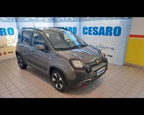 Annonce FIAT PANDA Hybride 2023 d'occasion 